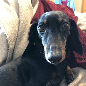 Meet your Posher, Jenny